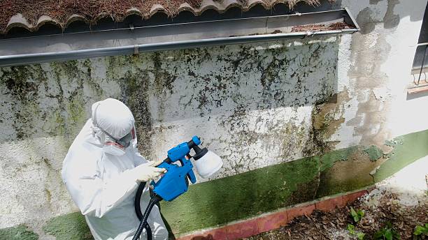 Trusted Crawl Space Mold Removal service in Fawn Grove, PA - Cheap Mold Removal